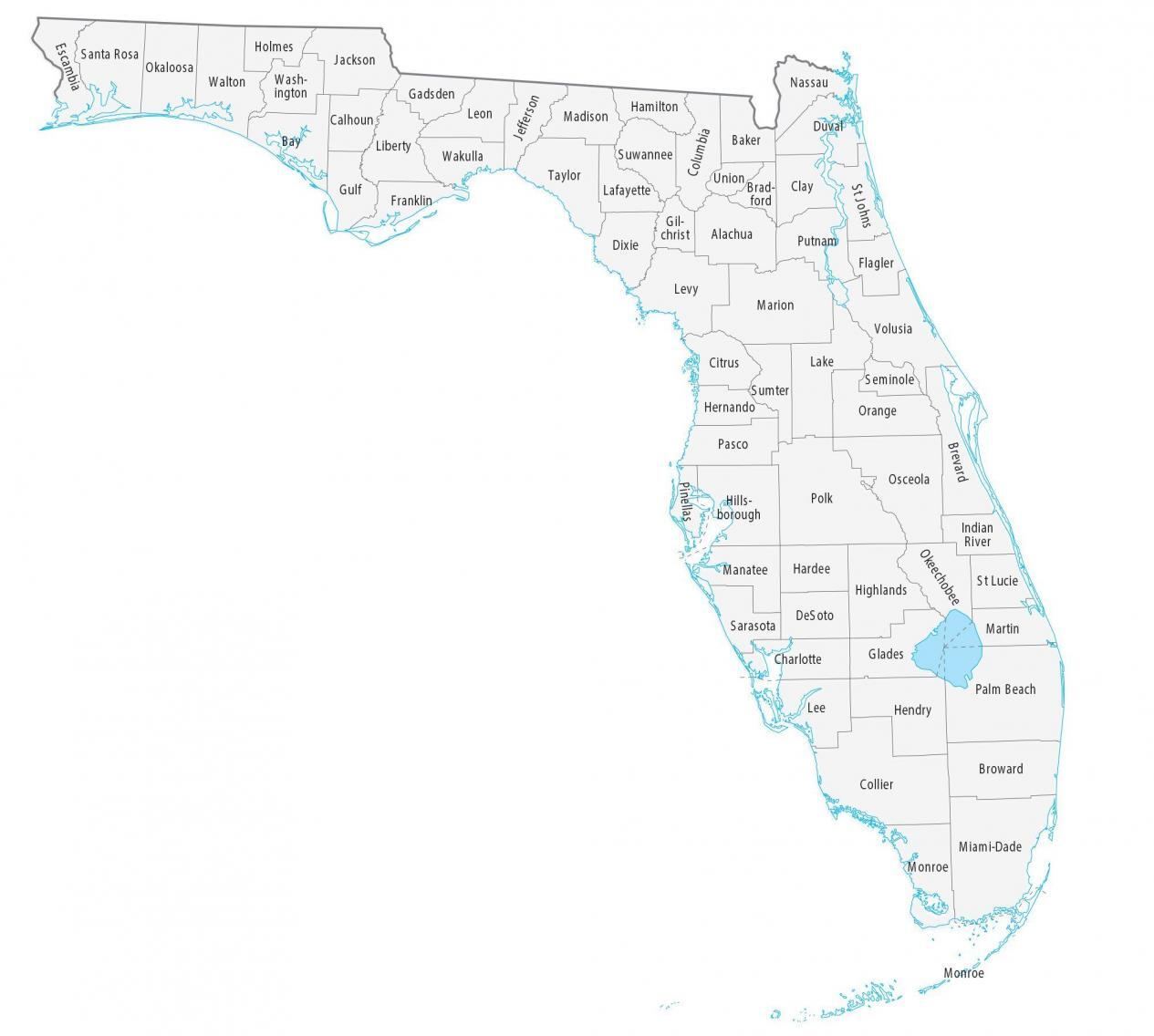 Network Cabling Company Florida